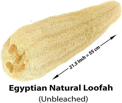 1 kom Egipat 21.5 Loofah Luffa Lofta Lofa Loofa Scrubber Spužva prirodna organsko spa ljepota Kupatilo