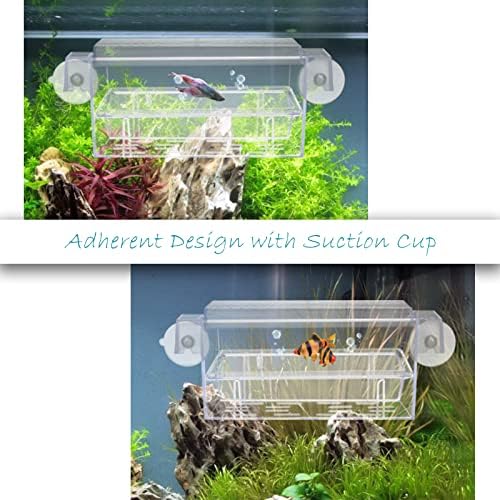 LDEXIN akvarijska kutija za uzgoj ribe akrilno mrijestilište za ribe sa usisnim čašama, rezervoar za inkubator