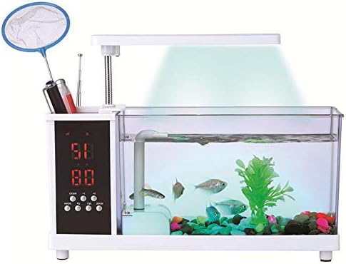 QTMY Mini Desktop akvarijumi akvarijum sa LED svetlosnom olovkom držač budilice dekoracija Kancelarije