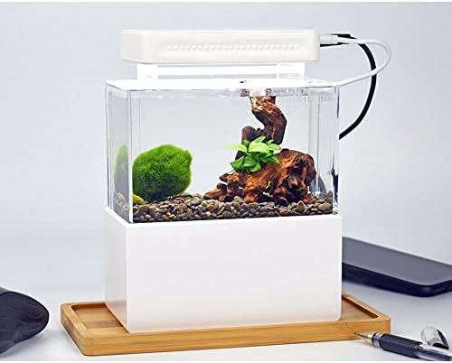 ZYZMH Mini akvarijum Desktop Marine Aquaponic akvarijumska posuda za ribe sa vodenim Fliterom LED svetlosna