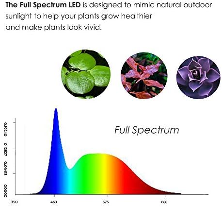 Hiro Aquatics Nano visoki akvarijum bez riskih sa nano punim spektrom LED W / BAMBOO postolje za Betta Fish