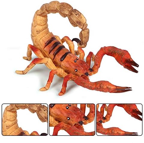 Rich Boxer Scorpion figurica Realistična plastična Scorpion Arthropodna figurica za kolekciju