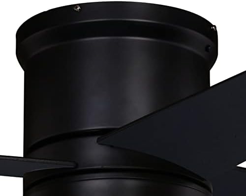 Vaxcel Erie Black Flush Flien ventilator sa LED svjetlom i daljinskim upravljačem