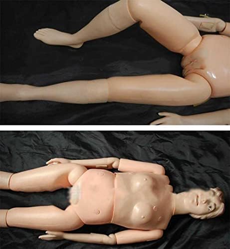 Foccar multifunkcionalni njegu pacijenta manikin simulator sestrinca manikin ljudski anatomski model za