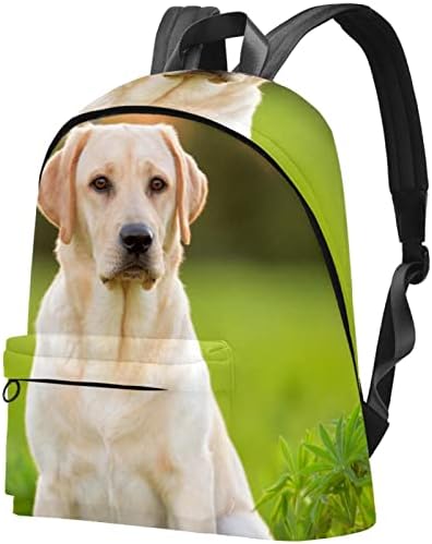 VBFOFBV ruksak za žene Daypack backpad bakfak za laptop Travel Casual, Labrador Animal Dog