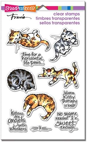 Stavendous savršeno jasne marke-kitty terapije