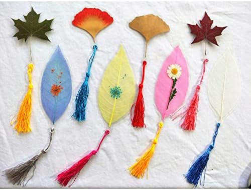 30pcs magnolia kostur listova ostavlja prešane sušene listove DIY CARTS Crafts Bookmarks, Bodhi Vein