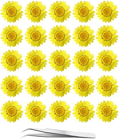 60pcs cvijeće od žute sušene tratinčice - YouthBro 60pcs Real Cvijeće za prirodu Za smoia DIY nakit za svijeće