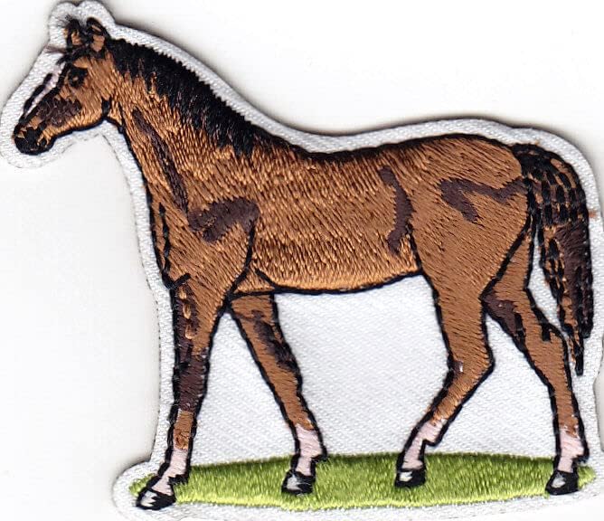 Konjsko gvožđe na patch životinje Zapadni konj konjički