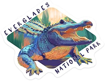 Natikač dimnih rezanja Everglades National Park, Florida, aligator, živopisna, kontura vinilna naljepnica