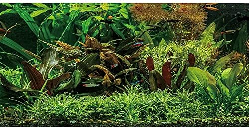 Aught 24x12 inča Vinyl podmorski vodeni akvarijski akvarij Pozadina Tropical River Bed & Lake Ribe Pozadina