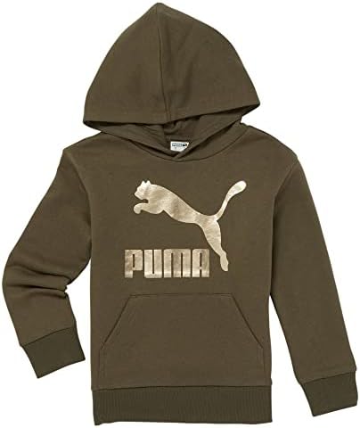 Puma Kids Boys Hoops Kuke pakiranje CTN Fleece Hoodie - PS Ležerni atletički odjeća casual - zelena