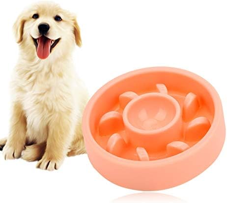 Yosoo Plastic Exquisite Non-Slip Bottom PET anti-gušenja sporo posuda za hranjenje hrane, posuda za psa