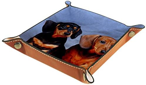 Muooum kancelarijski sto, Jazavčarski pas, kožna Sobarska ladica sorage kutije mala ladica za hvatanje za