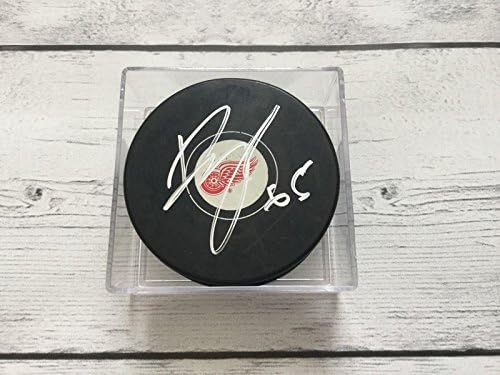 Danny Dekeyser potpisao autographed Detroit Red Wings Hockey Puck b-Autographed NHL Pucks