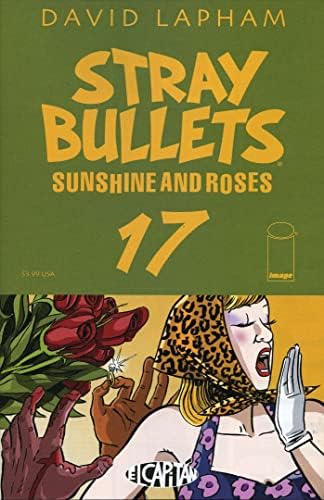Zalutali meci: Sunce i ruže # 17 VF; slika strip / David Lapham