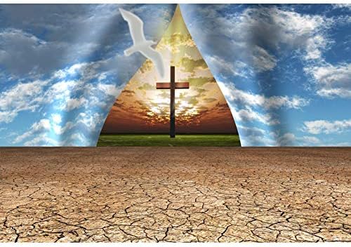 CSFOTO 12x8ft Cross backdrops Isus fotografija pozadina Sveto svjetlo nebo Dove Hrišćansko religiozno vjerovanje