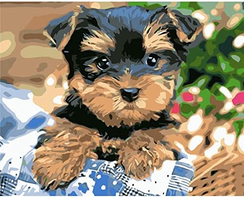 YSColor Animal Crnog psa DIY odraslih boja po broju kompleti za početnike na platnu valjane, crtanje lakiranja