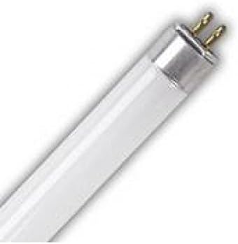 EiKO F8T5CW Model 15510 hladno bijela fluorescentna sijalica, 8 vati, G5 baza, T-5 sijalica, 12,0/ 305mm