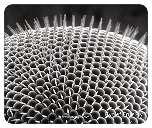 Lab Rat Gifts MP009 otvorena ćelijska guma nevjerovatna ekskluzivna SEM kolekcija - Eye of Fruit Fly podloga