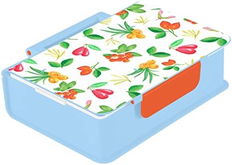Vodene boje Bobice Kids Bento kutija, posude za ručak za odrasle / djecu / mališani, sa kašikom i vilicom