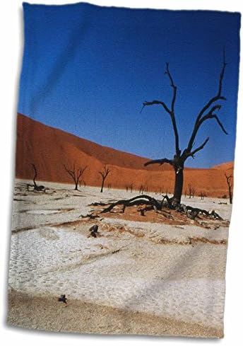 3Droza Namibija, Sossusvlei, Deadvlei, mrtvo drvo sa vodenim oznakama - ručnici