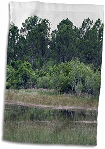 3drose Susans zoo crew krajolik - Florida močvarna područja Pines drveća - ručnici