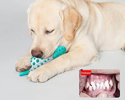 Slobodne multifunkcionalne pasa žvakačke igračke za pse palice četkice za čišćenje zuba igračke za čišćenje