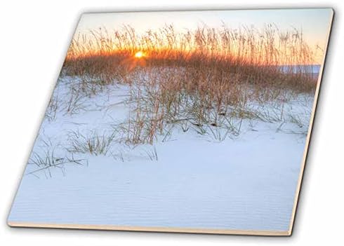 3drose Mike prevara fotografija-pejzaži - Izlazak sunca iza pješčanih dina-pločice